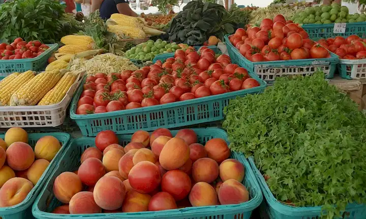 tomates maduros, melocotones jugosos, fresas suculentas, maíz refrescante, flores vibrantes, soleada escena de la playa, exuberante vegetación, canastas de fruta desbordante, mercado de pescado colorido, luz de verano caliente