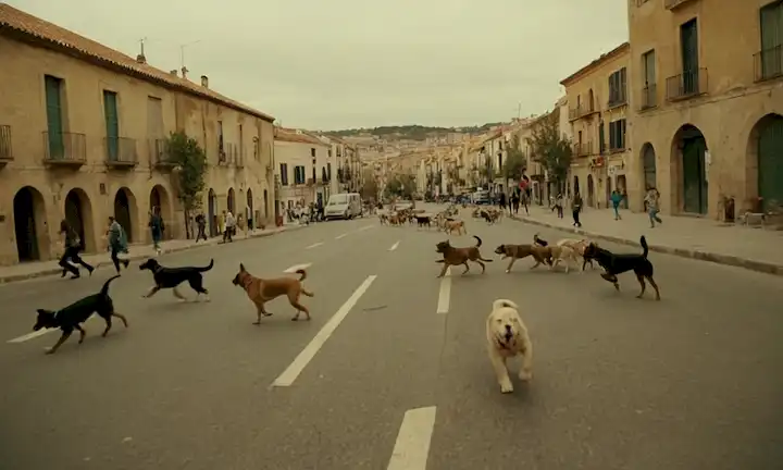 Perros frenéticamente ladrando con gente persiguiéndolos en un caótico paisaje urbano español. La cámara se acerca gradualmente para revelar una calle vacía mientras los perros, una vez abandonados, encuentran su camino de regreso a casa. (Título: Cada Hora)