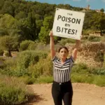 Araña violín en España: Cómo identificar, prevenir y actuar ante su picadura letal