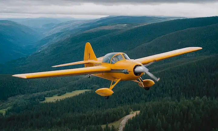 Inspiración alrededor de una réplica de una avioneta confusión, incluyendo la forma y tamaño específico de la ardilla voladora siberiana.