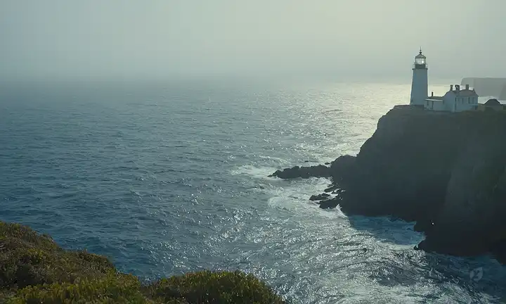 Olas chocando en un vasto océano azul, escuelas de peces nadando bajo arrecifes de coral, barcos navegando a través de niebla malvada, faros de pie en las costas rocosas, bosques de algas balanceándose en las corrientes, y criaturas marinas jugando en las aguas iluminadas por el sol