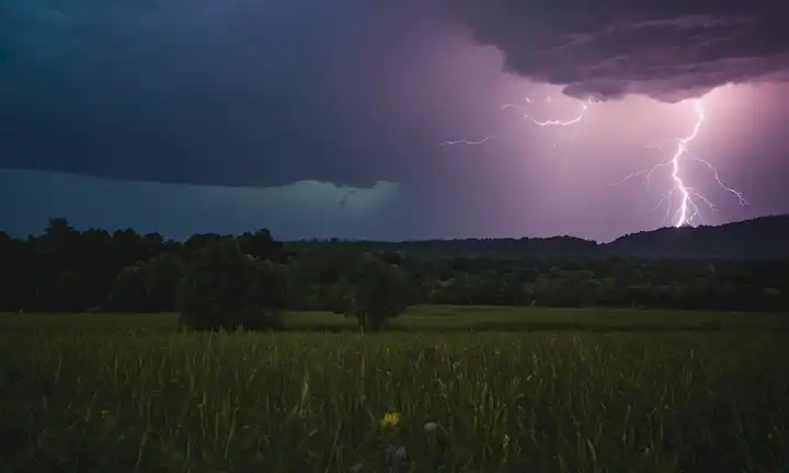 Relámpago iluminando el cielo como un grupo de insectos en colorido atuendo vuela hacia él. Una búsqueda para responder a la pregunta: ¿Los insectos regresan a casa después de volar lejos?