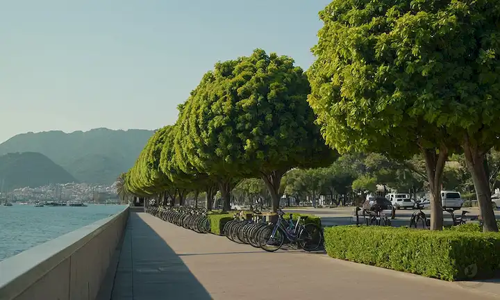 Árboles, vegetación, paisaje urbano, montañas, océano, transporte público, estaciones de bicicletas, parques, jardines, arquitectura sostenible, silvicultura urbana