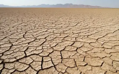 Tierra seca agrietada