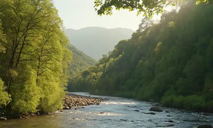 bosques verdes con árboles altos, luz solar filtrando a través de hojas, río fluyendo en la distancia, montañas en el fondo, árboles que reflejan el agua, la fauna diversa vagando libremente