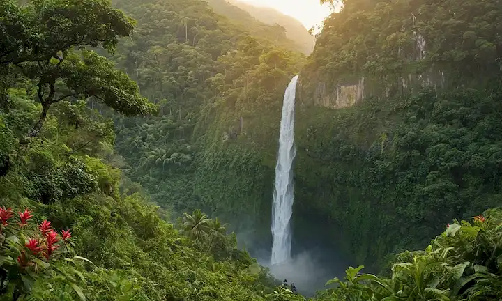 Pueblos indígenas, animales en hábitats, canopy forestal, río tropical, aves, mariposas, abejas, flores, hojas, árboles, montañas, valles, puesta del sol, mala montaña, cascadas, vida silvestre en acción, verdes paisajes, exuberante follaje, colores vibrantes