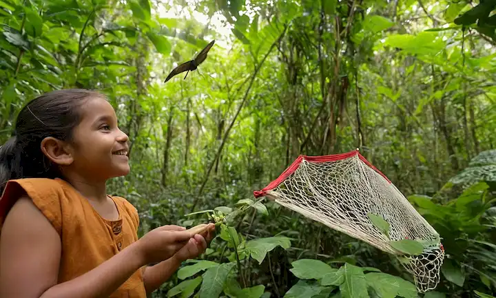 Bosque colorido, diversos árboles y plantas, majestuoso mariposa, sonriente persona indígena sosteniendo un pájaro, verde canopy por encima, niños explorando con redes, hormigas de hoja en acción, flores vibrantes floreciendo, observación de monos curiosos, paisaje de selva tropical desplegándose