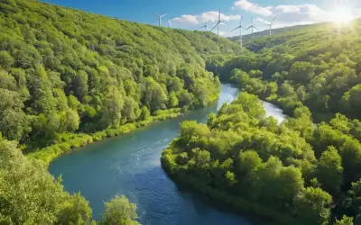 Bosque verde con un río de viento