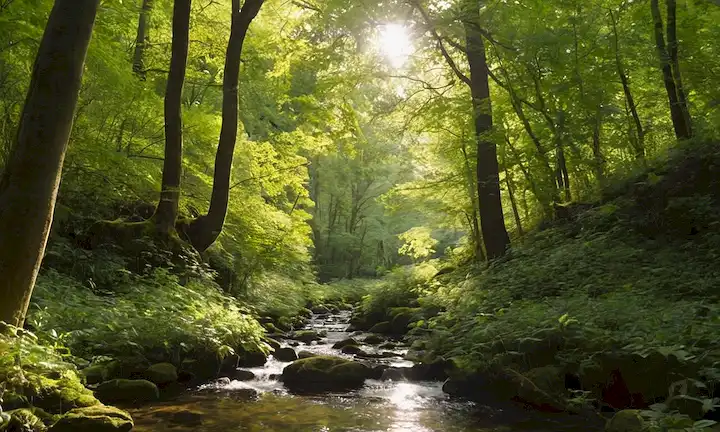 Un bosque sereno con árboles torrentes, luz solar filtrando a través de hojas, un pequeño arroyo corriendo a través de él, posiblemente algunas aves volando sobre la cabeza, y un sutil toque de vegetación creciendo alrededor de los troncos, transportando crecimiento, armonía y equilibrio de naturalezas