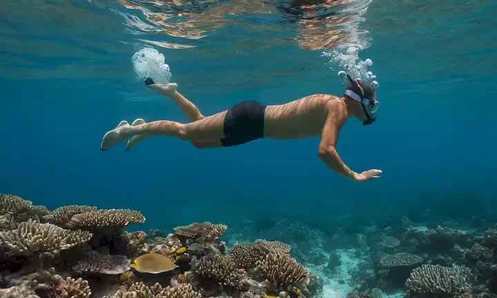 Persona sumergiendo en el océano, rodeada de arrecifes de coral adornados con especímenes de vida marina únicos debido a sus esfuerzos de conservación en pastinacas. Una cita inscrita en un objeto cercano lee responsabilidad individual en la conservación marina con una referencia a la humanidad descubriendo y preservando especies extintas como la pastinaca.