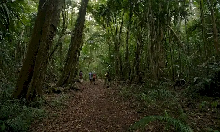 Una lectura resumida Amistad, amor y redescubrimiento de la vida como dos personajes en una selva tropical encuentran fuerza juntos superando la adversidad. Esta descripción asume un género académico, literario, y no representa directamente el contenido de un documental o una foto. Sin embargo, podría relacionarse algo con el contenido discutido en el texto dado si se proporcionan pistas de contexto. Pero en general Id describe esta declaración como una representación poética y abstracta de posiblemente el mensaje central del mencionado libro/documentario. Para brevedad, aquí una versión abreviada: Amistad, amor y redescubrimiento en una selva