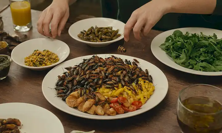 Persona disfrutando de una comida con insectos en la mesa, enfatizando la sostenibilidad en las opciones alimentarias. El texto está escrito en una fuente moderna inspirada en tecnología, que representa el progreso.