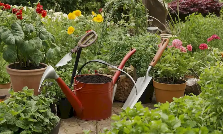 Jardinero, manos de trabajo, guantes de jardinería, semillas, suelo, plantas, vegetación, luz solar, riego, caña de podar, azada, rascacielos, cultivador, cesta, frutas, verduras, flores, cama de jardín, crecimiento, armonía