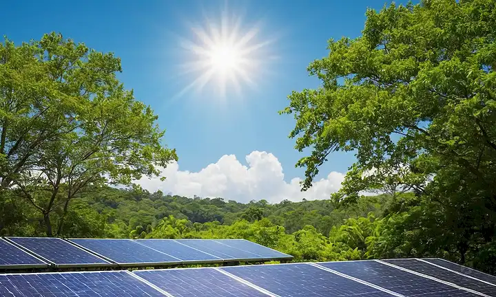 Sol brillante, exuberante vegetación, paneles solares instalados entre árboles, paisaje sereno, cielo azul con algunas nubes, entorno natural, vegetación, innovadora mezcla de tecnología, escena idílica, ambiente pacífico