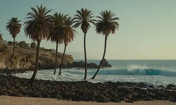 Visiones de playas de arena y vistas heladas con palmeras. El iceberg fundido en la costa de Malgaña como metáfora para el cambio climático.