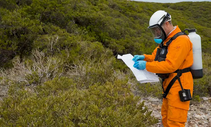 Biólogos marinos que realizan una evaluación del riesgo y aplican medidas preventivas para proteger contra las criaturas marinas picantes. Las posibles acciones sugeridas incluyen permanecer al menos 10 metros de distancia, minimizar la exposición de la piel, usar equipo protector, enjuagar rápidamente cualquier veneno recogido, buscar consejo médico si es necesario, y ser consciente de su presencia en las costas.