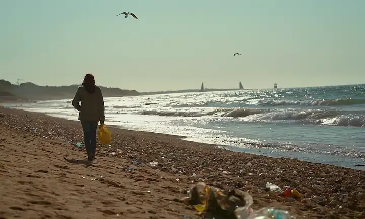 2 personas en una playa, sosteniendo residuos plásticos, contaminación oceánica, basura en la costa, olas, sol, gaviotas volando sobre la cabeza, veleros lejanos navegando por, paisaje costero, vista panorámica, ambiente pacífico, fondo natural, concepto de contaminación
