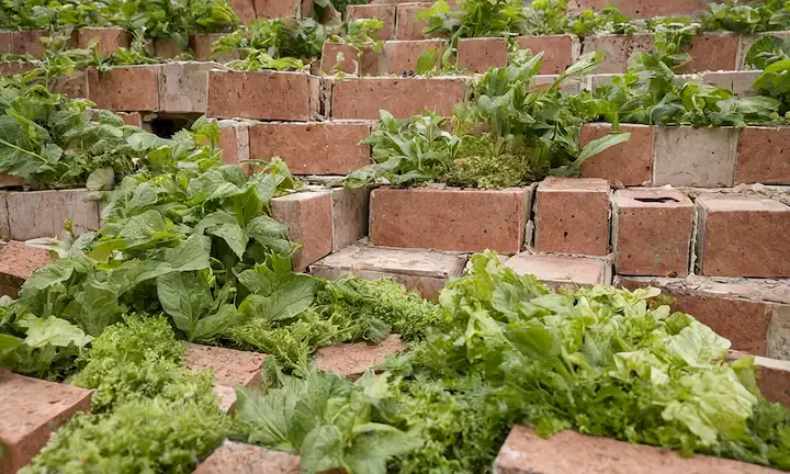 Enfoque revolucionario sostenible para la construcción mediante el reciclaje de ladrillos de desechos plásticos - desafíos y oportunidades. En una estructura arquitectónica moderna o fachada de construcción. Utilización de tecnología, materiales e innovaciones en el desarrollo sostenible. Diseño arquitectónico e innovación. Un futurista paisaje urbano con vegetación, tecnología y creatividad en el contexto. Soluciones basadas en la tecnología que mitiguen el cambio climático. Responsabilidad ambiental como parte de la planificación urbana inteligente. Se hace hincapié en el uso de materiales reciclados para fines de construcción. Las posibilidades futuras de reciclaje y reciclaje para procesos de construcción eficientes.