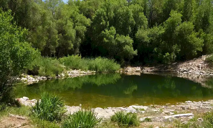 Un estanque natural recién creado rodeado de vegetación exuberante, con una dedicación y un mensaje sobre la lucha contra la deforestación y el sobredesarrollo en el contexto de Madrid. La descripción asume la exactitud geográfica, pero emplea imágenes abstractas para comunicar los componentes clave de este área protegida.
