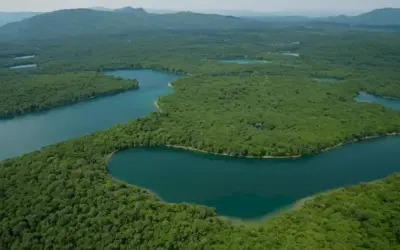 Una serie de impresionantes tomas aéreas que revelan lagos prístinos rodeados de exuberante vegetación y fauna silvestre
