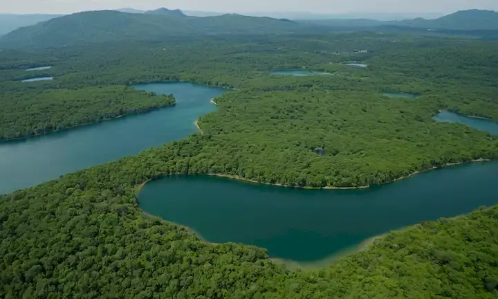 Una serie de impresionantes tomas aéreas que revelan lagos prístinos rodeados de exuberante vegetación y fauna silvestre