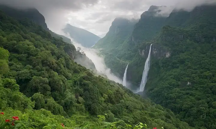 árboles rodeados de niebla, exuberante vegetación, flores vibrantes, ramas frondosas, cascadas, montañas, sol brillando a través de nubes, follaje denso, fauna diversa, ambiente sereno, armonía natural