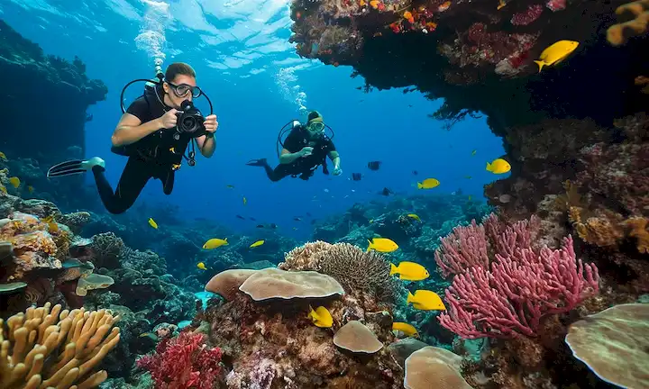 Equipo científico llevando a cabo una misión de investigación subacuática como fondo azul con flora y fauna marina vibrantes contrastando con las aguas coloridas.