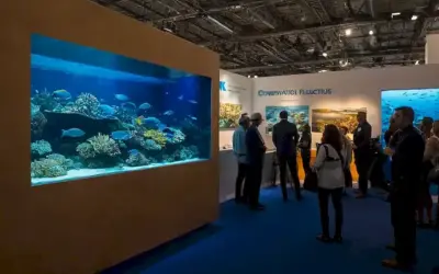 Camisetas: Desvelar el espectro radiante dentro de las profundidades. - Una exposición que muestra varias fotografías submarinas que revelan los colores vibrantes y las impresionantes imágenes de la vida marina profunda. Marcos de imágenes muestran imágenes de criaturas marinas como tiburones