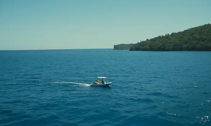 Barcos navegando por un paisaje azul de agua, en medio de estrategias de camuflaje para la supervivencia. Los colores revelan profundidad y contraste en este ecosistema submarino.