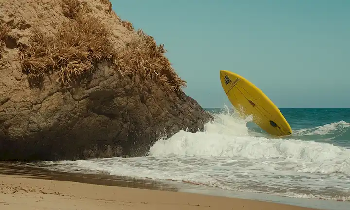 Un grupo de valientes surfistas y pescadores que luchan contra una enorme criatura acuática con el nombre Rhizostoma luteum (The Golden Cord), también conocido como La Medusa Gigante en sus esfuerzos por proteger la costa de Murcia de una invasión alienígena.