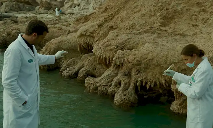 Procesiones intrincadas de criaturas recuerdan a monstruos marinos y cefalopodos, acompañados por investigadores en capas de laboratorio que examinan los hallazgos. En español con subtítulos en inglés, La importancia de la investigación y monitoreo Rhizostoma luteum: El monstruo del mar gigante que invade la costa de Murcia.