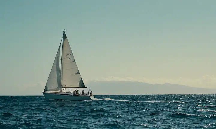 Velero que atraviesa el mar, rodeado de términos científicos relacionados con una mutación que implica proteínas. La frase tiene muchos significados en lo que se refiere a la ciencia, la naturaleza y los humanos que superan los desafíos en diversos campos. Esta breve descripción da sólo una instantánea del contexto sin proporcionar más detalles sobre la materia específica o la persona que escribió el artículo.