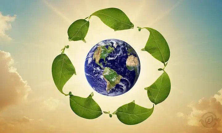 Hojas verdes, círculos interconectados, Tierra desde una distancia, símbolo de reciclaje, mariposa, floraciones de flores, sol y un gradiente de fondo sutil