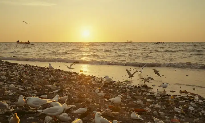 Desechos de plástico flotando en la superficie del océano, gaviotas volando cerca, aguas contaminadas con peces muertos y arrecifes de coral, figuras humanas en la limpieza de distancia basura, puesta del sol sobre el horizonte