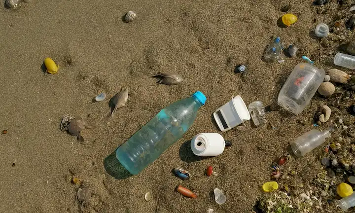 Desechos plásticos que flotan en aguas superficiales, animales marinos enredados en desechos plásticos, derrames de petróleo, playas bañadas con botellas y bolsas de plástico, ecosistemas oceánicos afectados por la contaminación humana, vida acuática amenazada por microplásticos, redes de pesca abandonadas en el mar, arrecifes de coral dañados por la contaminación plástica