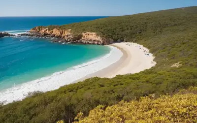 Playa soleada con dunas de arena dorada estirando hasta donde el ojo puede ver. Un grupo de surfistas felices disfrutando de su día en la playa. Con una vegetación impresionante y agua por todos lados