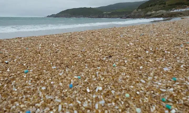 Paisaje de playa contaminado de ambas ciudades costeras de Galicia y Asturias, con pellets de plástico esparcidos a lo largo de la costa concha.