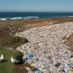 Pellets de plástico: Playas de Galicia y Asturias aún afectadas