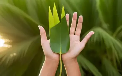 Pounam Pandeys agarra una hoja de palma verde