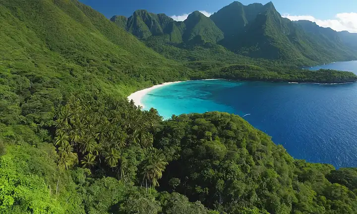 Diversas especies que florecen en bosques verdes exuberantes, majestuosos montañas, océanos espumosos, arrecifes de coral vibrantes, especies en peligro que reciben esfuerzos de conservación, humanos trabajando juntos en armonía con la naturaleza