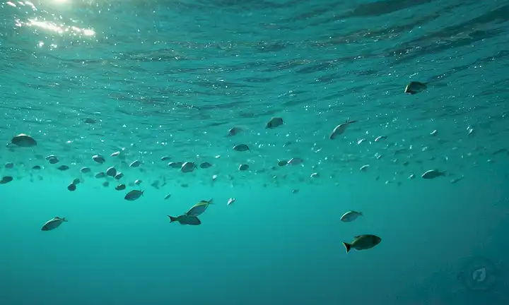 gotas de agua 3D suspendidas en tonalidades verdes, fondo futurista de paisaje urbano, símbolos de reciclaje integrados en diseño, vida acuática (pescado o coral), efecto de iluminación sutil con reflejos y sombras, patrones de onda abstractos irradiados del eje central
