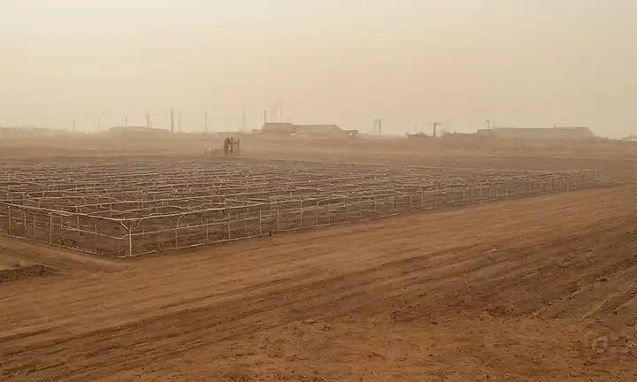 granjas industriales, bolígrafos de ganado, tierras de pastoreo, campos agrícolas, nubes de contaminación, residuos de animales, agricultura de estilo fábrica, paisaje rural, espacios abiertos, ganado, tractores, cercas, malla de alambre, suelo estéril, tierra seca, tormentas de polvo, preocupaciones ambientales, impacto ecológico, conflictos sociales, comunidades rurales, ecosistemas afectados