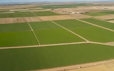 Terrenos fértiles