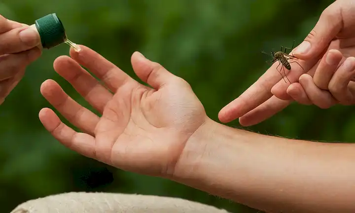 Manos aplicando repelente de insectos caseros a brazos con picaduras de mosquito en el fondo.