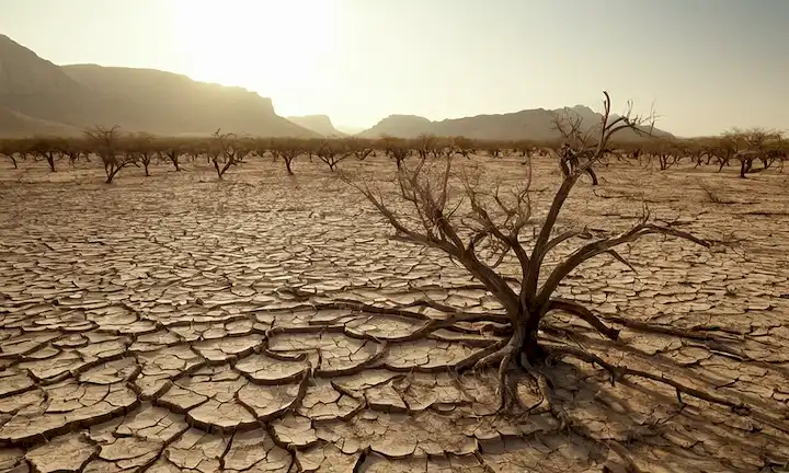 tierra asada, cultivos fundidos, ríos secos, troncos de árboles agrietados, tierras estériles, animales asolados, paisajes desolados, rayos solares abrasados y ecosistemas devastados