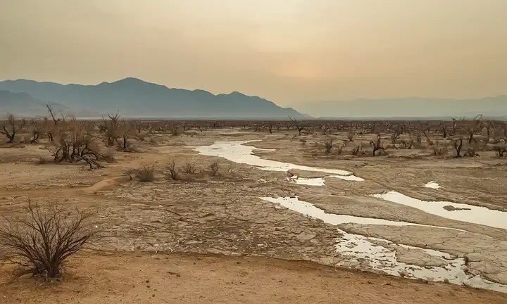 tierra asada, plantas marchitadas, lagos desgarrados, ríos secos, bosques estériles, paisajes desolados, árboles marchitados, cielos polvorientos, vegetación desgarrada