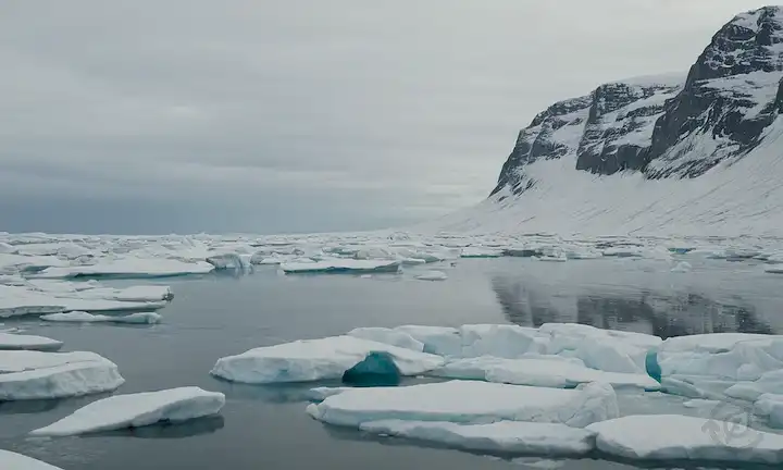 hojas de hielo derretidas, paisaje de<center><img decoding=