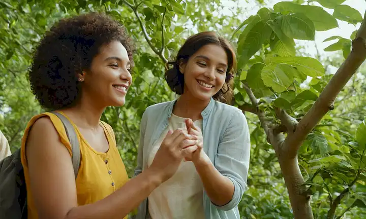 hojas verdes, árboles en crecimiento, flores florecientes, sol, rostros sonrientes, personas trabajando juntas, manos sosteniendose, unión comunitaria, interconexión, unidad, armonía con la naturaleza, y un futuro brillante delante