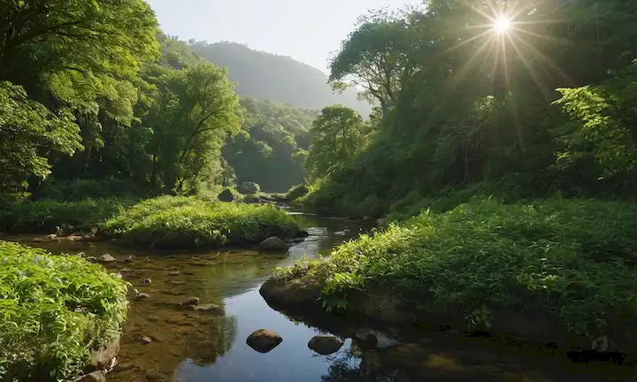 Bosques verdes, fauna diversa, ríos limpios, prados exuberantes, ecosistemas interconectados, árboles con canopies frondosos, raíces enredadas alrededor de rocas, hojas frotando en la brisa, rayos del sol filtrando a través del follaje, vegetación que prospera en armonía